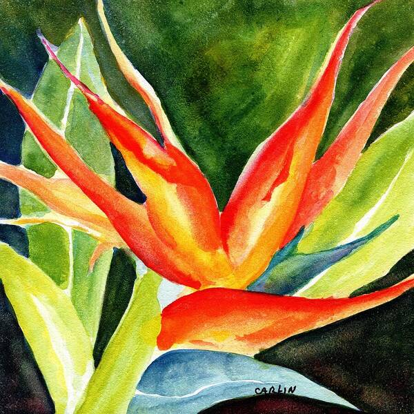 Flower Art Print featuring the painting Bird of Paradise by Carlin Blahnik CarlinArtWatercolor