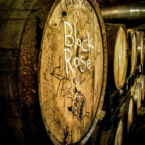 Barrel Art Print featuring the photograph Black Rose by Bonny Puckett