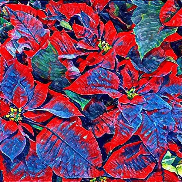 Blue Art Print featuring the photograph Blue and Red Poinsettias by Vivian Aumond