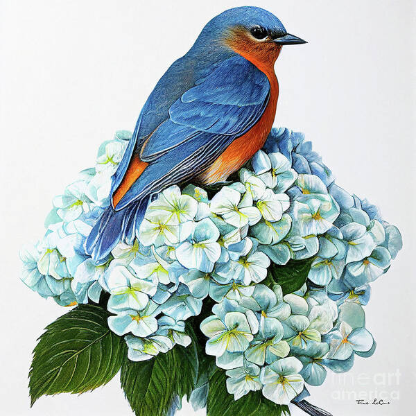 Bluebird Art Print featuring the painting Bluebird In The Hydrangea Blossom by Tina LeCour