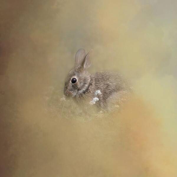 Bunny Art Print featuring the photograph Bunny Eating Clover by Marjorie Whitley