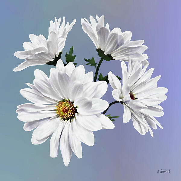Daisy Art Print featuring the photograph Circle of White Daisies by Susan Savad