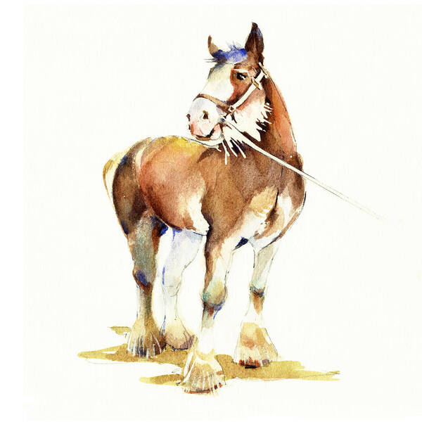 Clydesdale Art Print featuring the painting 'Clydesdale' by Penny Taylor-Beardow