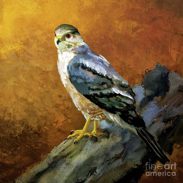 Hawk Art Print featuring the digital art Cooper's Hawk by Lois Bryan