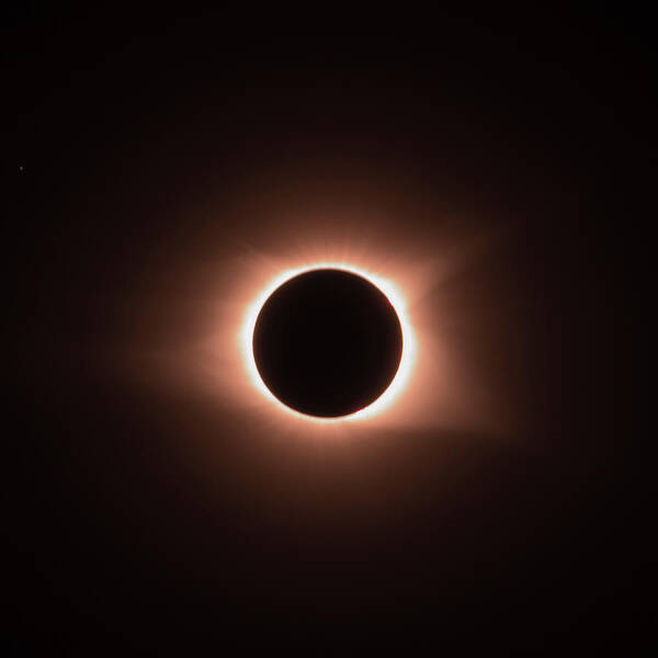 21 August 2017 Art Print featuring the photograph Corona by Melissa Southern