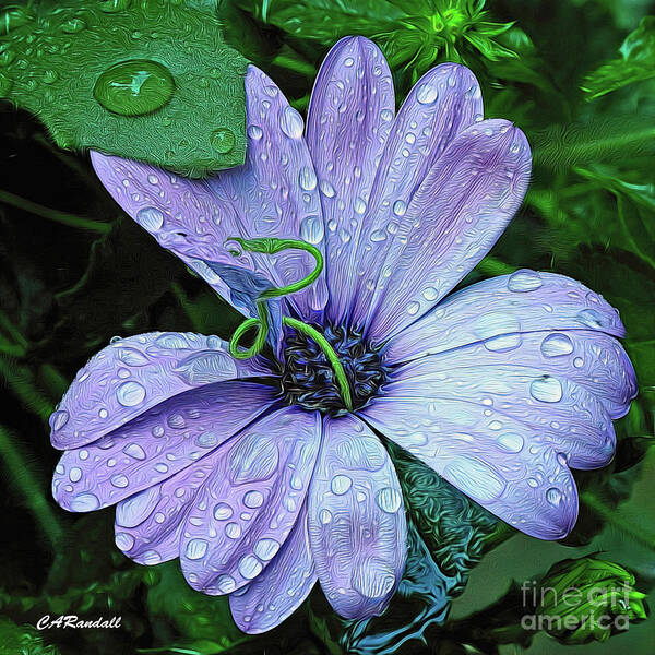 Flower Art Print featuring the photograph Dew Drop In by Carol Randall