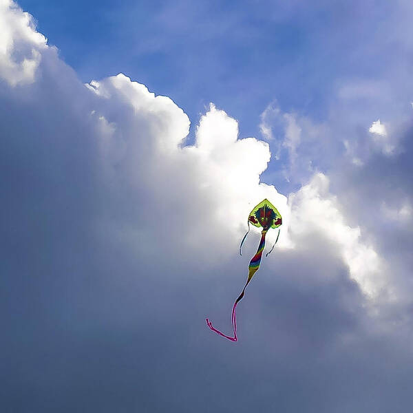 Kite Art Print featuring the photograph Dragon Kite by Grey Coopre