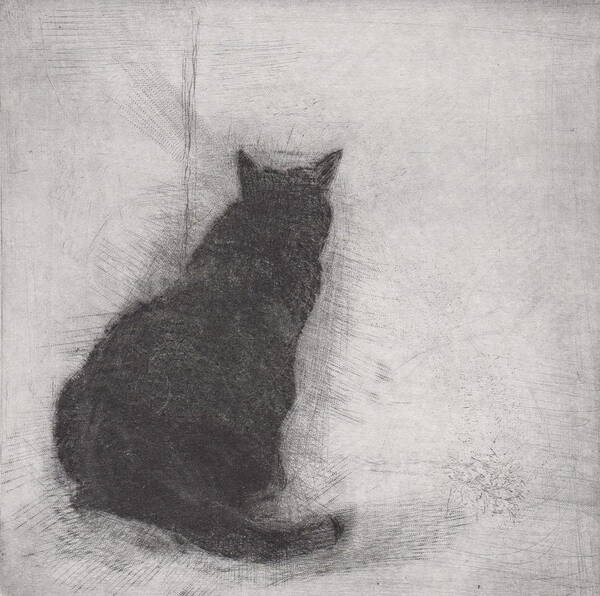 Cat Art Print featuring the drawing Ellen Peabody Endicott - etching by David Ladmore