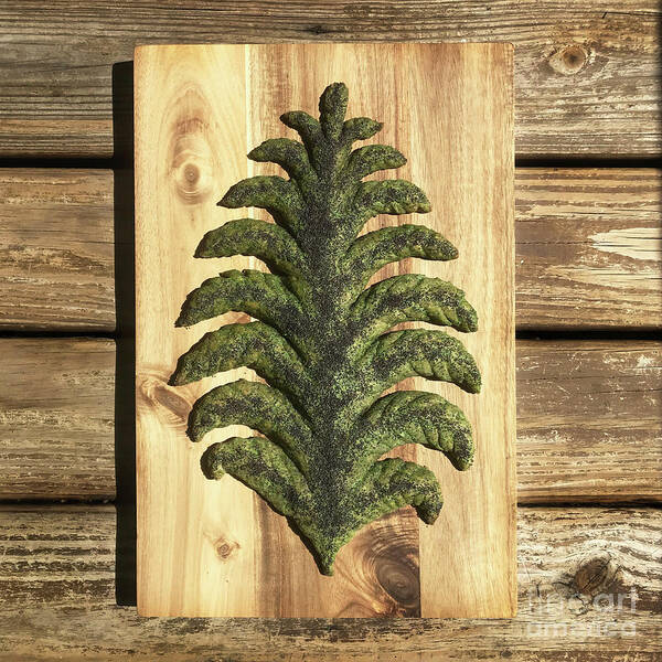 Bread Art Print featuring the photograph Fern and Fiddlehead Fougasse 3 by Amy E Fraser