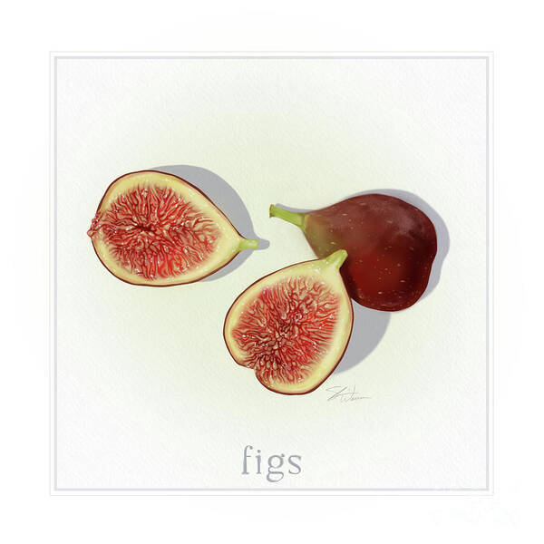 Fruit Art Print featuring the mixed media Figs Fresh Fruits by Shari Warren