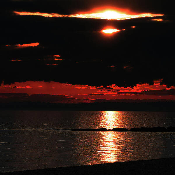 Sunset Art Print featuring the photograph Fire in the Sky by William Selander