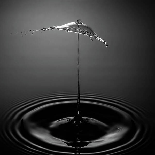 Waterdrop Art Print featuring the photograph Shades of Gray by Ari Rex