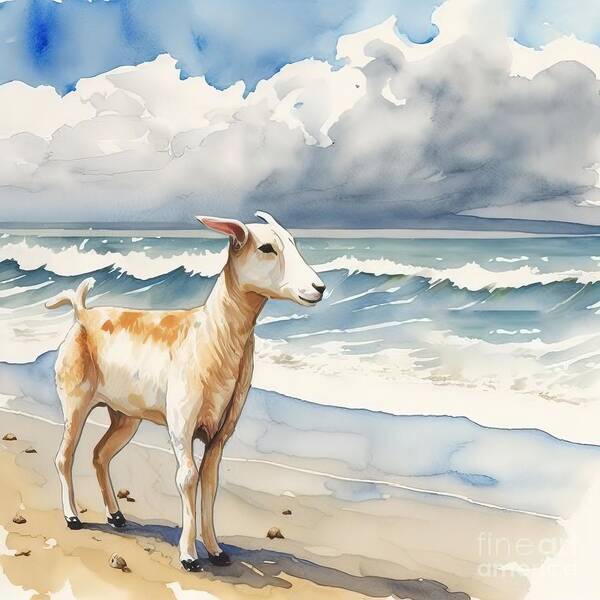 Farm Art Print featuring the painting Goat At Beach by N Akkash