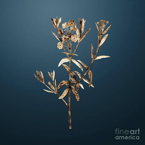 Gold Art Print featuring the painting Gold Bog Laurel Bloom on Dusk Blue n.02982 by Holy Rock Design