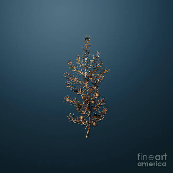 Gold Art Print featuring the painting Gold Common Juniper on Dusk Blue n.03486 by Holy Rock Design