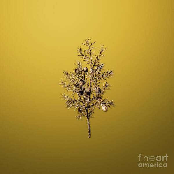 Gold Art Print featuring the painting Gold Common Juniper on Mango Yellow n.04171 by Holy Rock Design