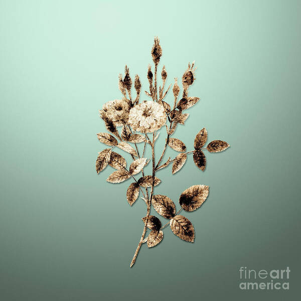 Gold Art Print featuring the painting Gold Mossy Pompon Rose on Mint Green n.03604 by Holy Rock Design