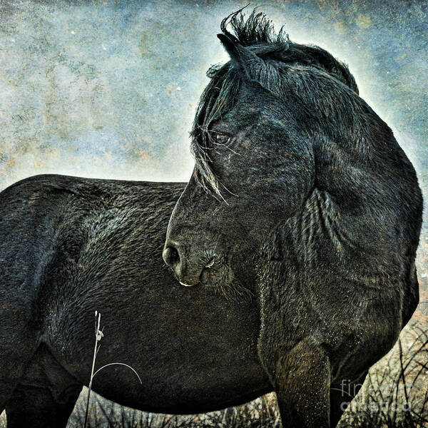 Horse Art Print featuring the photograph Guardian by Parrish Todd