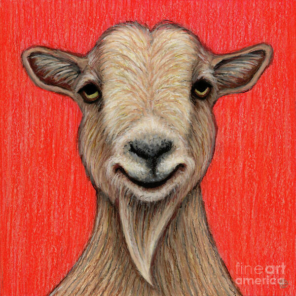 Nigerian Dwarf Goat Art Print featuring the painting Howie The Nigerian Dwarf Goat by Amy E Fraser