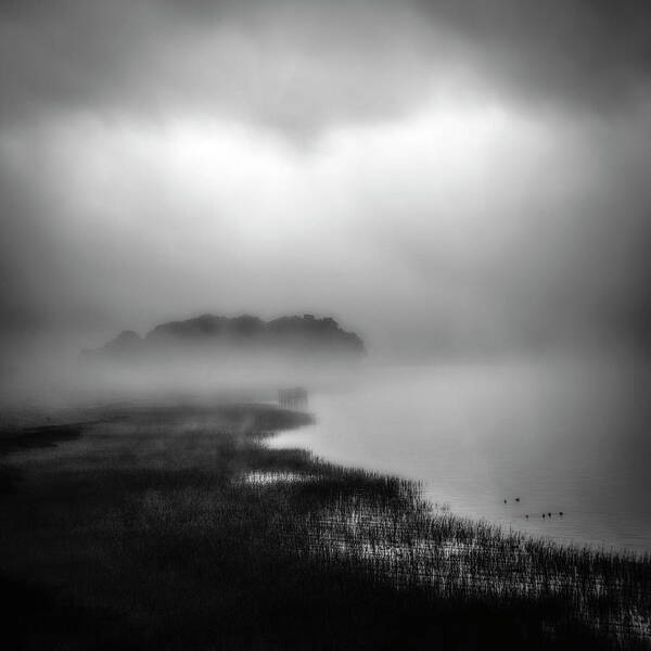 Heavy Fog Art Print featuring the photograph Jake's Island at China Camp by Donald Kinney