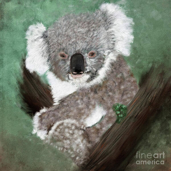 Koala Art Print featuring the digital art Koala by Erika Weber
