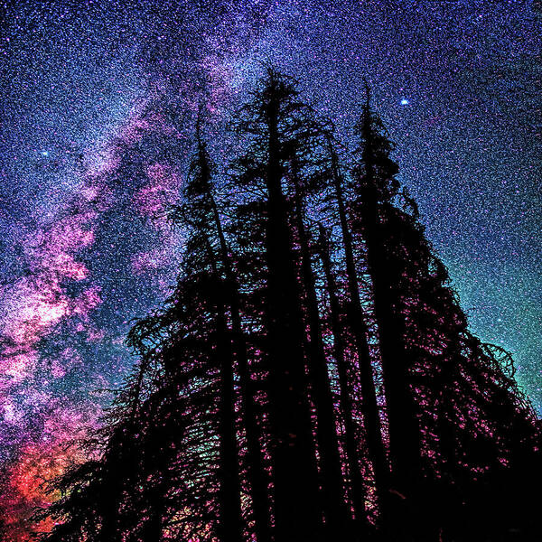 Nobody Art Print featuring the photograph Lake Irene, Colorado under celestial starlight by OLena Art by Lena Owens - Vibrant DESIGN