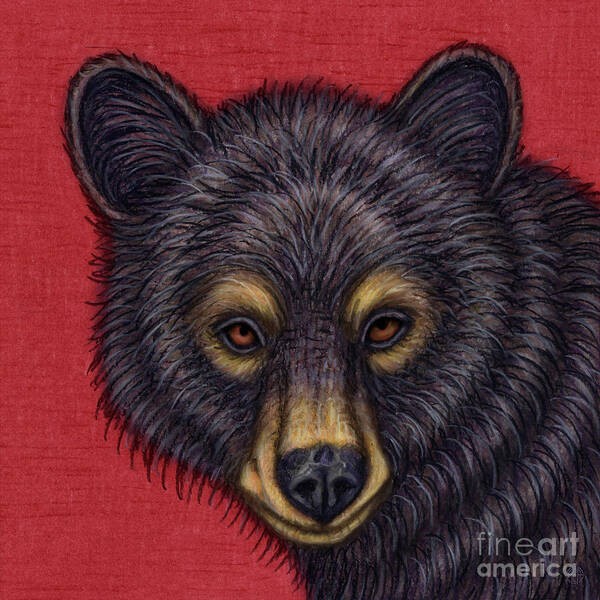 Bear Art Print featuring the painting Little Black Bear by Amy E Fraser