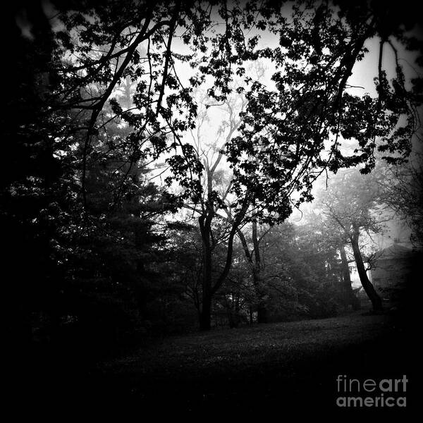 Nature Art Print featuring the photograph Lost in the Fog by Frank J Casella