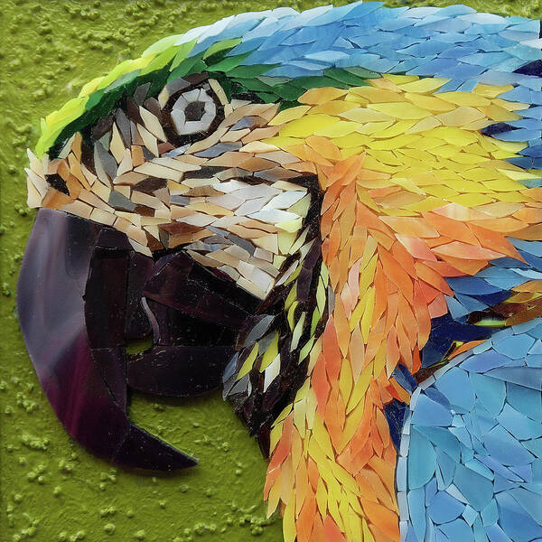 Macaw Art Print featuring the glass art Mackey the Blue and Yellow Macaw by Adriana Zoon