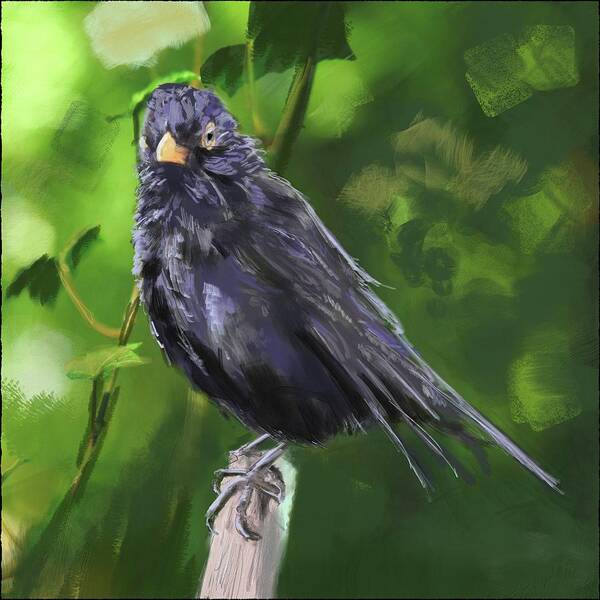 Wild Life Art Print featuring the painting Marle aka Scottish Blackbird by Rob Hartman