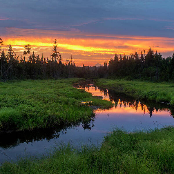 Marsh Art Print featuring the photograph Marsh Sunset Reflections by Chris Whiton
