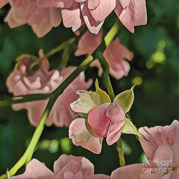 Roses Art Print featuring the photograph Miniflora by Jodie Marie Anne Richardson Traugott     aka jm-ART