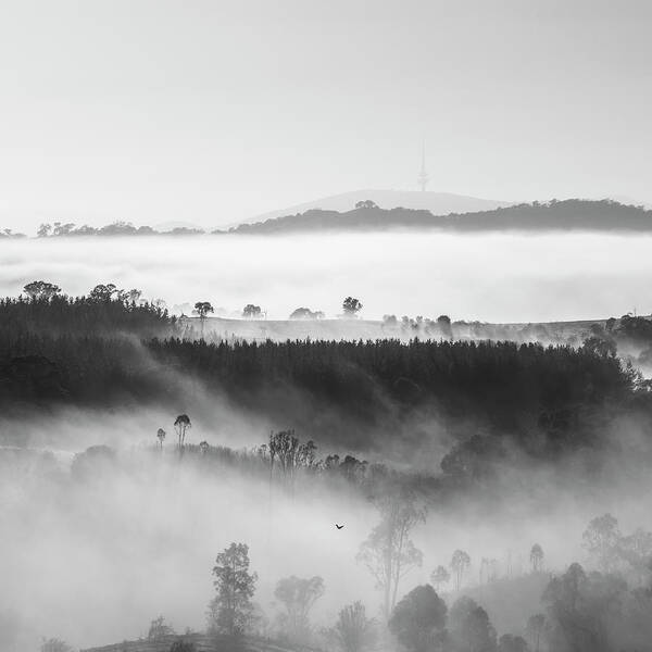 Canberra Art Print featuring the photograph Morning Dreams by Ari Rex