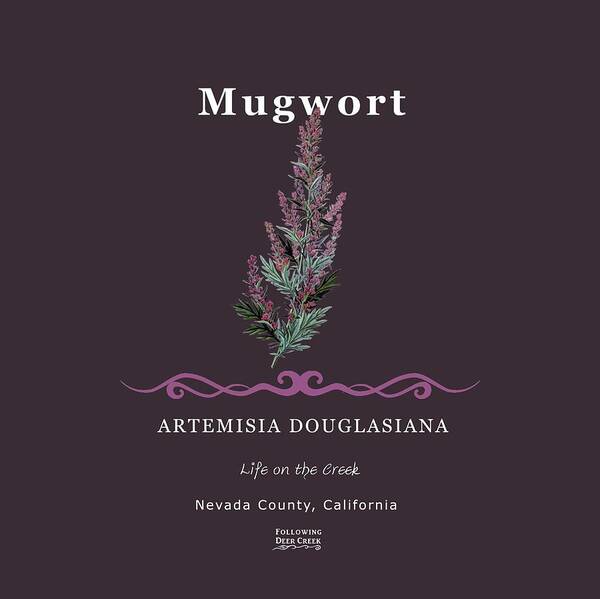 Mugwort Art Print featuring the digital art Mugwort Herb by Lisa Redfern