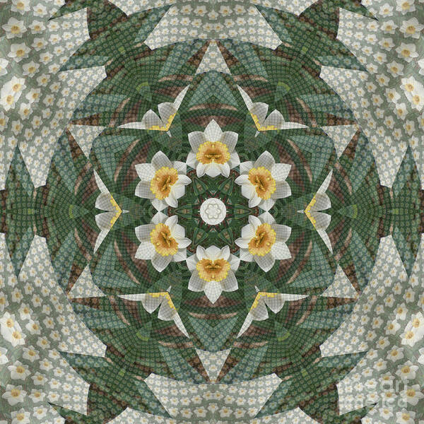 Narcissus Art Print featuring the digital art Narcissus Kaleidoscope Square by Charles Robinson