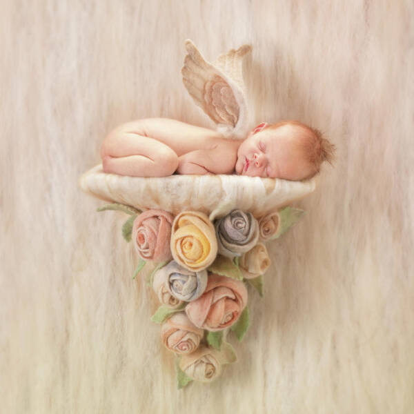 Angel Art Print featuring the photograph Newborn Angel with Roses by Anne Geddes