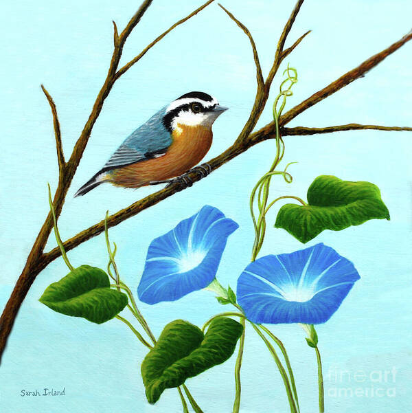 Portrait Art Print featuring the painting Nuthatch and Morning Glories by Sarah Irland