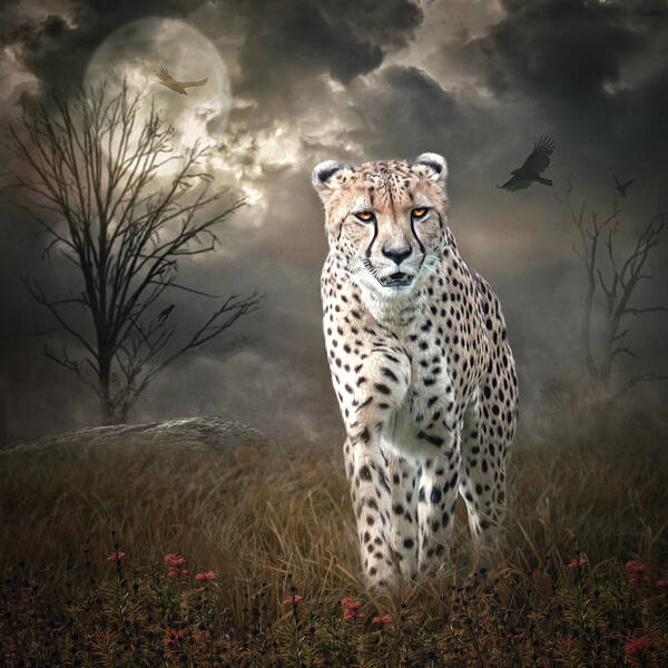 Mammal Art Print featuring the digital art On The Prowl by Maggy Pease