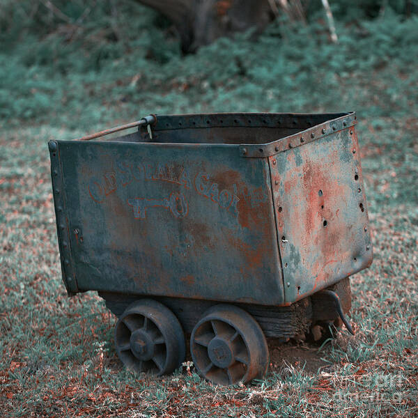 Wagon Art Print featuring the photograph Out of Service by Russell Brown