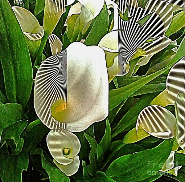 Calla Lily Art Print featuring the photograph Pop Art Calla by Sea Change Vibes