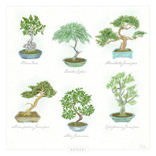 Bonsai Art Print featuring the mixed media Pretty Bonsai Trees by Shari Warren