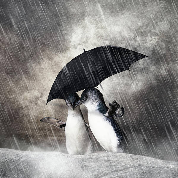 Penguin Art Print featuring the mixed media Rainy Date by Ed Taylor