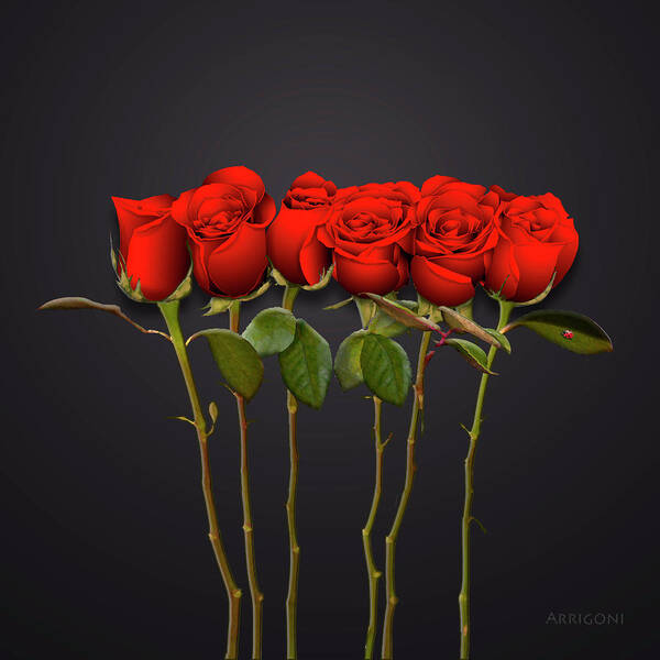 Red Roses Art Print featuring the painting Red Roses by David Arrigoni