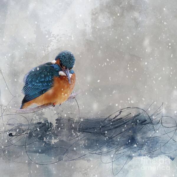 European Kingfisher Art Print featuring the mixed media River Kingfisher in Winter by Eva Lechner