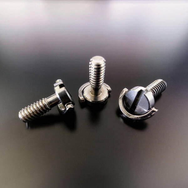 1/4 Inch Art Print featuring the photograph Screws triplet by Micah Offman