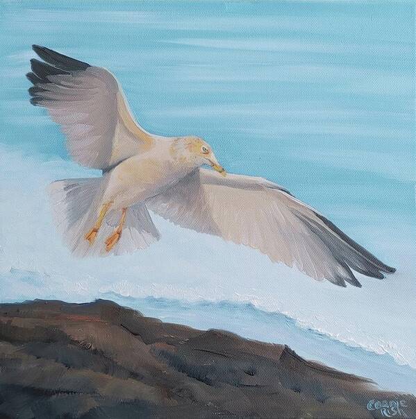 Seagull Art Print featuring the painting Sea Bird by Connie Rish