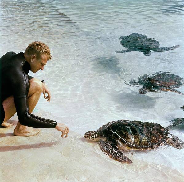 Lifestyle Art Print featuring the photograph Senator Taylor Pryor With Sea Turtles by Horst P Horst