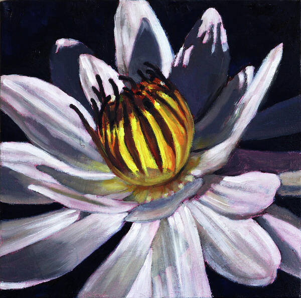 Water Lily Art Print featuring the painting Shadows and Light by John Lautermilch
