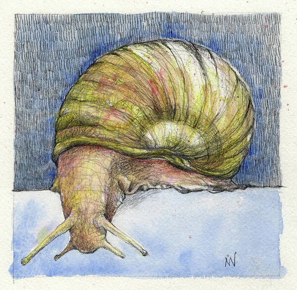 Snail Art Print featuring the mixed media Snail Search by AnneMarie Welsh