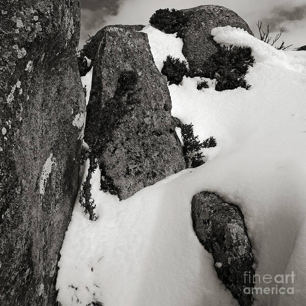 Snow Art Print featuring the photograph Snow and Rock by Russell Brown